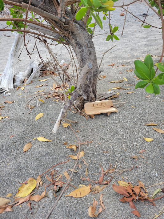 Little Bench in the Wild - Costa Rica