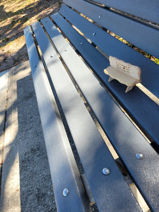 Little Bench in the Wild - FYB2